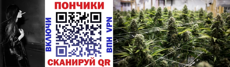 Конопля Bruce Banner  наркота  Орёл 